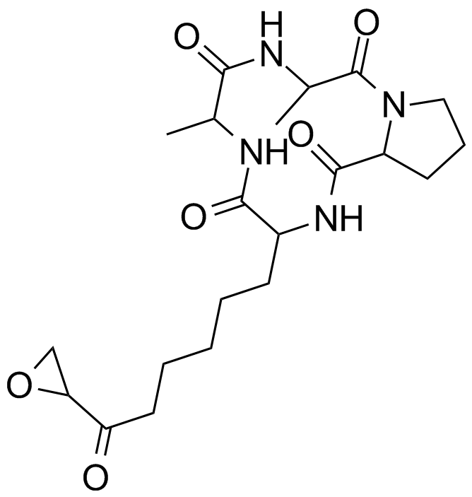 HC-toxin structure