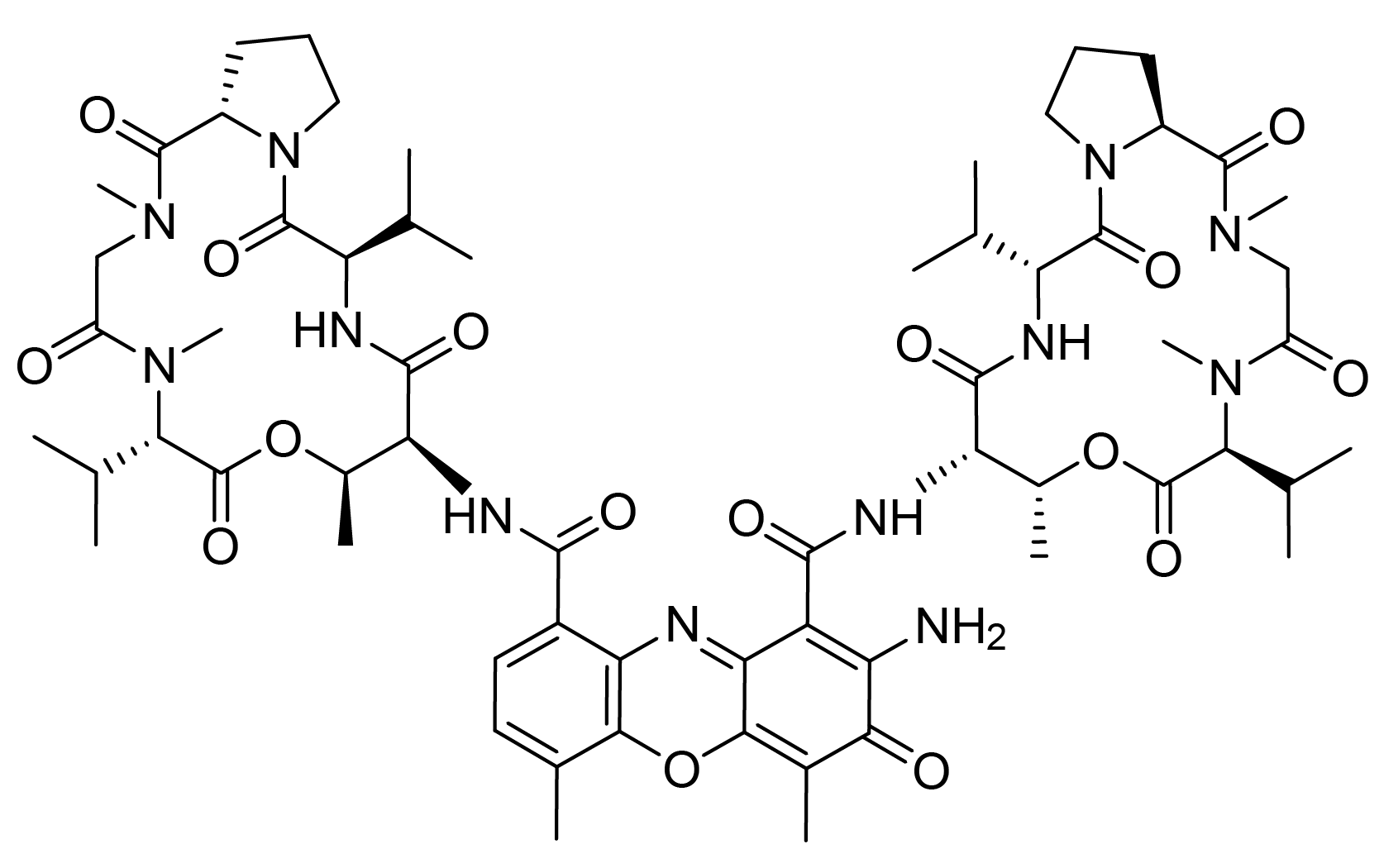 actinomycin D structure