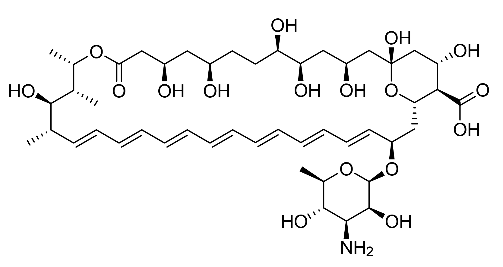 amphotericin B structure