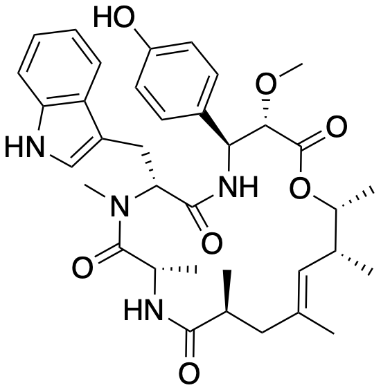 chondramide A structure