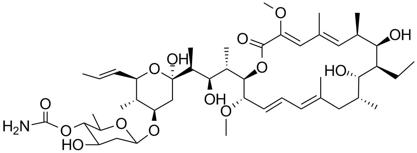 concanamycin A structure