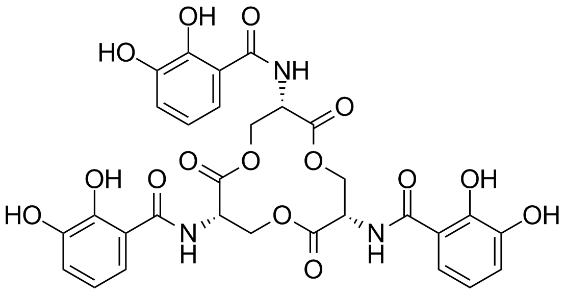 enterobactin structure