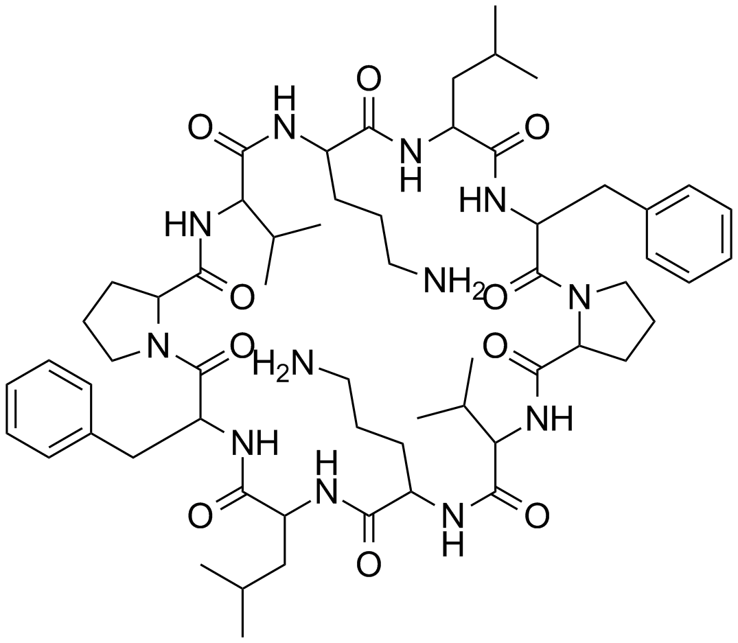 gramicidin S structure