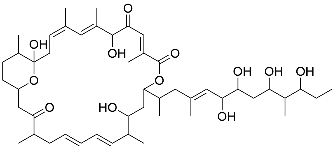 halstoctacosanolide A structure