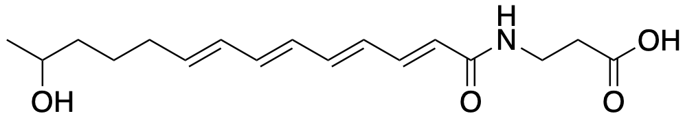 ishigamide structure