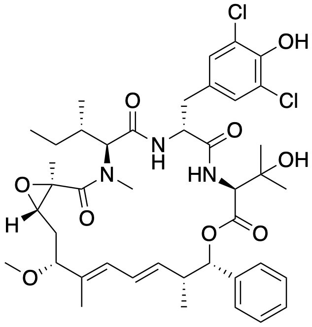 nannocystin A structure