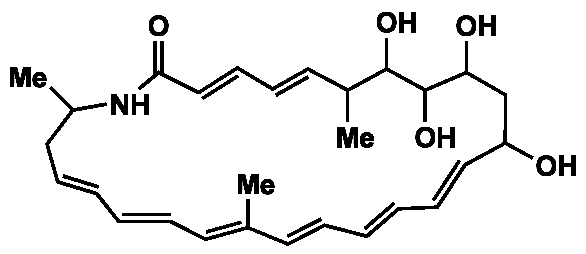 salinilactam structure