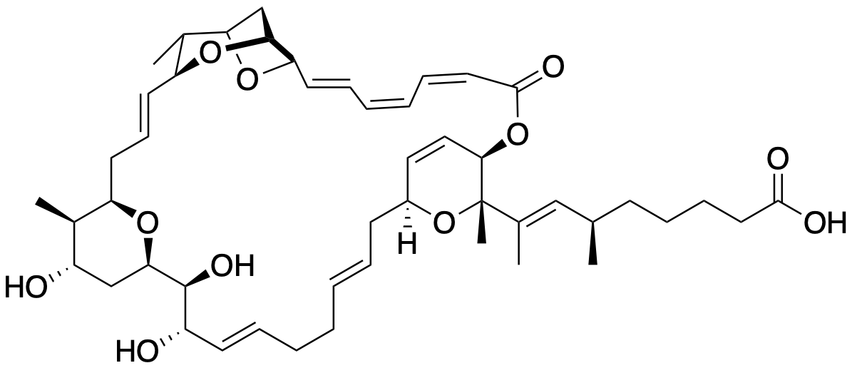 sorangicin A structure