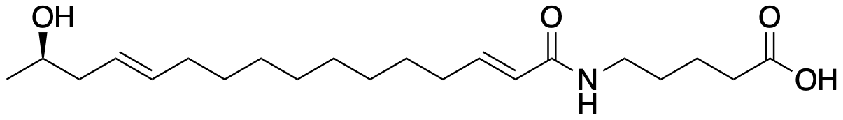 wortmanamide A structure
